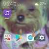 yorkie718